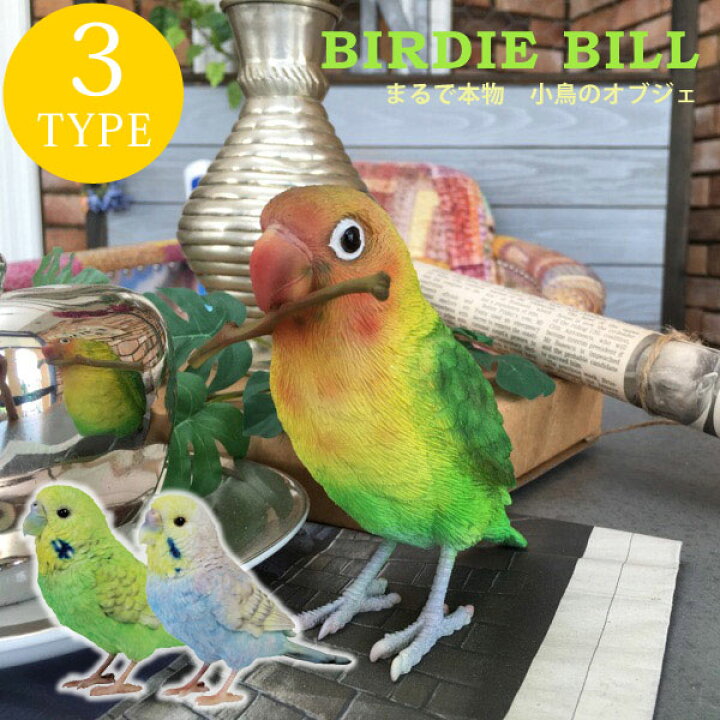 楽天市場】リアルな小鳥のオブジェ インコ アニマル 鳥 ディスプレイ 