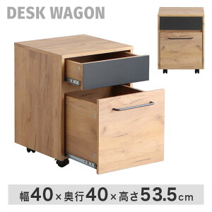 ワゴン デスクワゴン サイドワゴン 2段 オフィスワゴン キャビネット キャスター付き A4ファイル収納 引出し 書斎 作業 アイアン おしゃれ インダストリアル 北欧 ヴィンテージ 西海岸 ブル