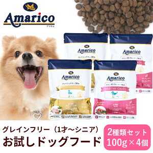 2025N1213hbOt[h  AmaricoTv OCt[ A}R tbV`L36GOLD 2 `L49.5n[uzRED 2 v4Zbg S sgp h{H