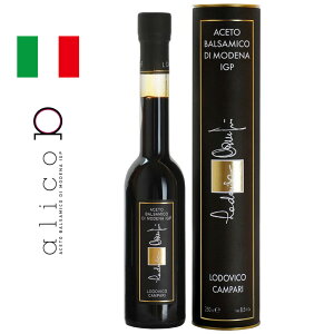 ܖ؂2025N929y50OFFz IXX A`F[gfi oT~R| v~A 250ml Lodovico Campari Platinum  P[X C^A alico AR C^AY fiY oT