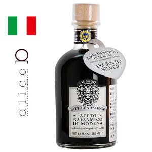 ܖ2025N1025y50OFFz IXX A`F[gfi oT~R| SILVER Vo[FE 250ml C^A alico AR C^AY fiY oT~R| |  Mtg v[