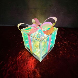 OXMtgCg{bNX 10cm KXu EH[zCgLED NX}X CR2032dr×2 Mtg 蕨 YD42570C-BOX