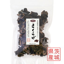 国産 乾燥 きくらげ 60g 茨城県産 安心・安全 農薬不使用 日本国内の菌床栽培 肉厚プリプリ アラゲキクラゲ 日本エコファーム