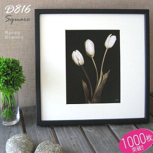 30×30cm@`@iȖؐz@yD816ziubNjANg₷VvlCBhJENXXeb`A|X^[Aʐ^Ȃǂ