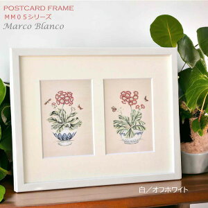 ͂2pz 160p^[IԁyMM-05V[YzicjVvǃJ[ɈI}bgt@ؐEAN