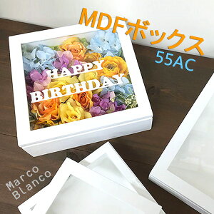 pԂ̈ ݌Ɍ25×25cm@`@[55mmBOXzyMDF{bNX^t[z55AC@zCg  cazaro  ؐz AN