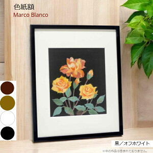 Fz 160p^[IԁyMM-05V[YzilcjVvǃJ[ɈI}bgt@ؐEAN