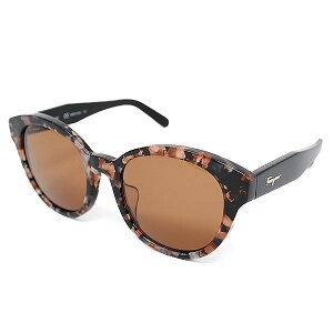 tFK TOX Salvatore Ferragamo T@g[tFK SF884SA-273 TOX fB[X BROWN PLUM HAVANA ubN uE