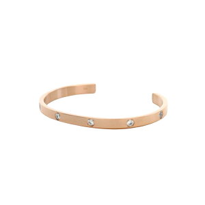 �_�j�G���E�F�����g�� DANIEL WELLINGTON �o���O�� CLASSIC LUMINE BRACELET DW00401744 Rose Gold ���[�Y�S�[���h