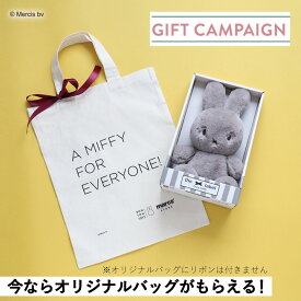 【公式ショップ】絹のような滑らかさと、もふもふとした触り心地 Cozy 23cm in Giftbox【公式ショップ】