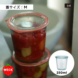 yVbvzWECK MOLD 250ml