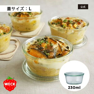 yVbvzWECK MOLD 230ml