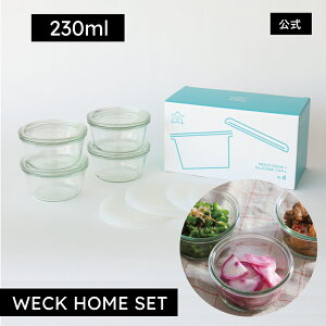 yVbvzWECK HOME SET т̕ۑɂ MOLD230mlESILICONE CAP L CLEAR 4_Zbg