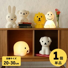【公式ショップ】ミッフィー ファーストライト First Light miffy&friends