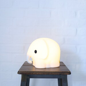 yz~btB[ t@[XgCg First Light miffy&friends