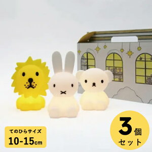 yVbvzMtgɂ߁IIWiBOXIMrMaria Bundle of Light 3pcsSET ohIuCg3Zbg