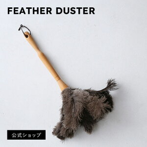 SMART FEATHER DUSTER ͂