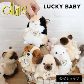 ころんとかわいいシルエット！B.T. CHAPS LuckyBaby