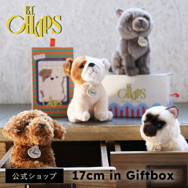 そのままギフトに。豪華なギフトボックス入り！B.T. CHAPS 17cm in Giftbox