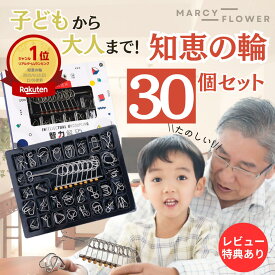 ＼楽天1位！／豪華30個セット！【すぐ届く＆送料無料！】知恵の輪 パズル ちえのわ 知恵玩具 立体 おもちゃ リングパズル ゲーム 脳トレ 大人 子供 謎解き 暇つぶしグッズ 立体パズル ミステリーリング 手遊び スチールパズル IQ ボケ防止 高齢者 指の運動 女の子 男の子