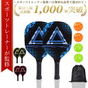 【スポーツトレーナー監修】☆最大90日保証☆月間優良受賞店☆家族で楽しめる！【送料無料】ピックルボール パドル 初…