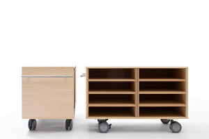 LX^[t A4ށEt@C[J[g 4i [^Cv SCH-G Storage Cart Xg[WJ[g }Q[^ iؐ ޒI t@CI ړj