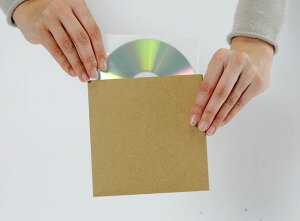 CDp WPbg Ntg{ CDp sDz Ci[WPbg 100gZbg/CD-027 /}Q[^