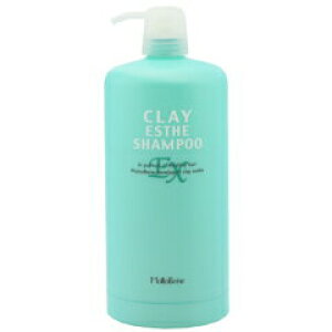 yzzgx[l NCGXe Vv[ EX500ml pJ[gbW