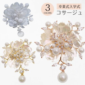 RT[W tH[} lC VbN i o RT[W P[X  Nbvt   w Ǝ   S[h zCg O[ ̓ v[g