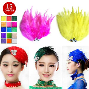 15COLORS 華やか 超人気 女の子 羽毛頭飾り パーティードレス ラテンダンス パーティー ダンス衣装 ウェディングドレス 髪飾り ヘアアクセサリー ダンス かわいい セクシー 安全ピンとヘアク