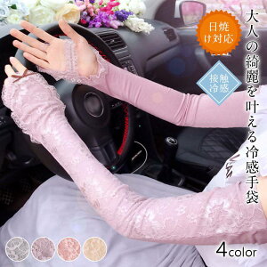 A[Jo[ fB[X nhA[Jo[ uvPA Ăh~ rA[Jo[ UV A[Jo[ O X|[c St UVJbg O΍ Xgb`n ] ^] AEghA 