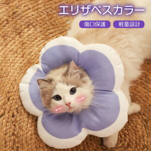 GUxXJ[ L  ybg \tg^Cv \tg pi _炩 炩 p  rߖh~ ی y  ی r r  h~ p  PK aC Q鎞 