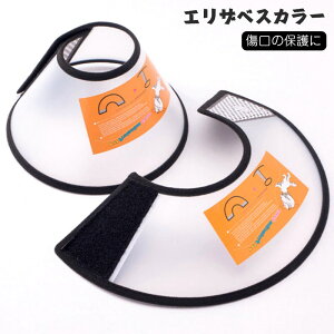 LYrߖh~ ی L lR ˂  p⎡Ì̏Ȃߖh~! pPA pi GUxXJ[  pPA ybgp Z~\tg y Ȃߖh~ XgXrߖh~