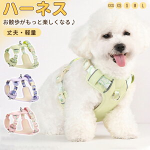  n[lX ^ ^ ^ [h Zbg ₷ EȂ n[lX  _炩 S Ȃ  ^ X^_[h ʋC  bV ̃n[lX p