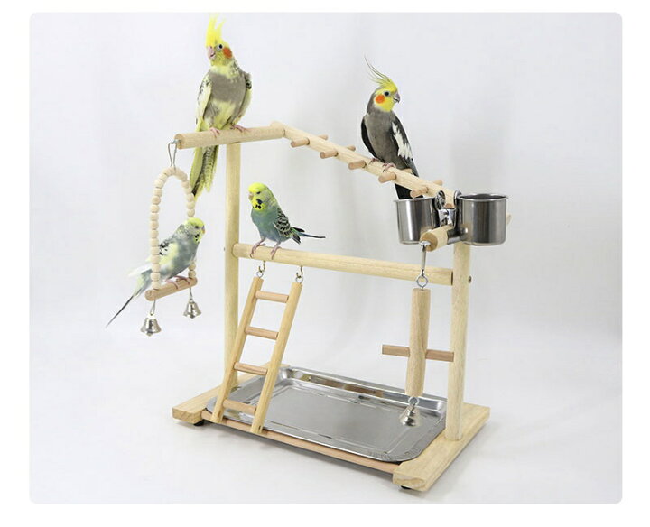 楽天市場】【動画あり】インコ 鳥の止まり木 遊び場 おもちゃ 二層 