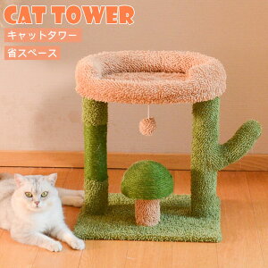 yViIr[TzLbg^[ ȃXy[X u^ Lp܂Ƃ|[ L^[ lR|[  ^s ߂Ƃ VRR ϋv gȒP x ~j L^[ Q^