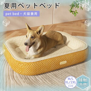 ybgxbh ėp L  xbh Ђ ⊴ ybg}bg N[}bg 􂦂 ybgp N[ ybgpi lR xbh   ^  ybgnEX Lp ڐG⊴ y ~