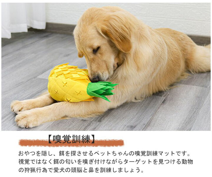 ノーズワーク 知育玩具 おもちゃ イヌ エサ入れ オモチャ フードボウル ペット ペット用 兼用 北欧 早食い防止 木調 犬 猫 知育 知育トイ プレゼントを選ぼう 木調 ノーズワーク 知育玩具 おもちゃ イヌ エサ入れ オモチャ フードボウル ペット ペット用 兼用 北欧 早食い防止 木調 犬 猫 知育 知育トイ プレゼントを選ぼう 木調