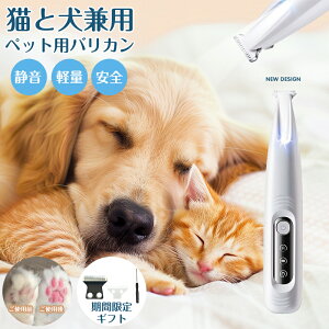 ybg oJ poJ  L oJ ybgpi  g~O pi ybgoJ LpoJ ڂ̎ K  LoJ poJ PA LуJbg C