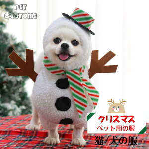 NX}X  L lR RX`[ T^ _炩 킢 LpRXv ̕ NX}X Lp cosplay  ϑ ߑ U o ʐ^ Be ȒP ւ 