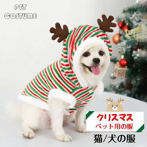 NX}X  L lR RX`[ giJC RX T^ _炩 킢 LpRXv ̕ NX}X Lp cosplay  ϑ ߑ U o ʐ^ Be ȒP