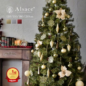 y Alsace(R) Kiz NX}Xc[ 120cm 150cm 180cm 210cm AUXc[ + ̗Ȃ 62p Luxury  I[igZbg   hCcgEqc[ AUXc[  k 
