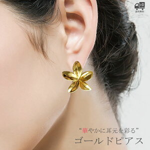 sAX S[h EGfBO uC_  S[hsAX ANZT[ uC_ANZT[ 񎟉 p[eB[ EGfBOANZT[ [B376]yz