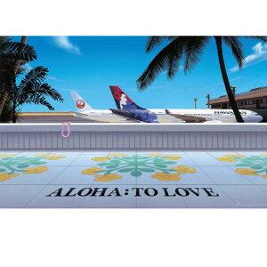 KURIYAMA CANVAS HONOLULU AIRPORT PUKR-1607