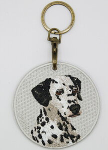 _VA L[z_[ VNʎhJ L[z_[ _VA 101C hbO 킢 { i A `[ ybg v[gœK   Ck