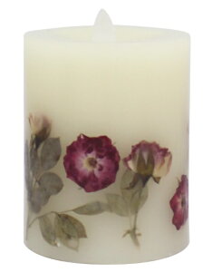 t[XtbJ[LhV[gbh CeA LED  SS tFCN {^jJ