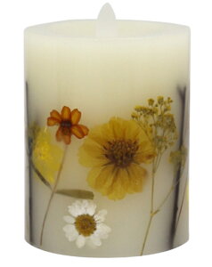 t[XtbJ[LhV[gCG[ CeA LED  SS tFCN {^jJ