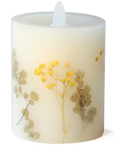 t[XtbJ[LhV[g~U CeA LED  SS tFCN {^jJ