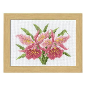 IpXhイLbg12̉ԃt[`}[EJg[k@RNV` @ hJ  | j nhCh t[ Ҍ