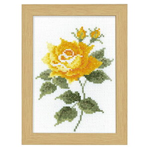 IpXhイLbg12̉ԃt[`}[EJg[k@RNV` @ hJ  | j nhCh t[ Ҍ